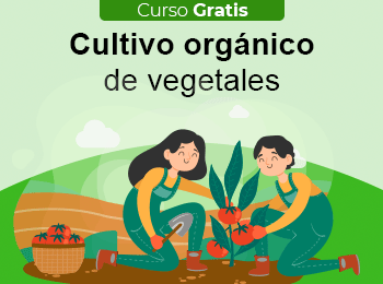 Curso Gratis: Cultivo Orgánico de Vegetales
