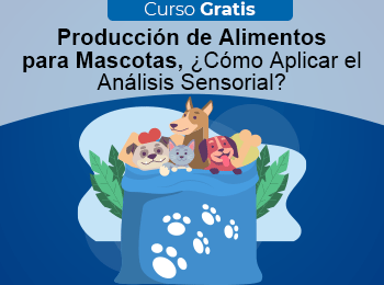 Curso Gratis: Producción de Alimentos Para Mascotas, ¿Cómo Aplicar el Análisis Sensorial?