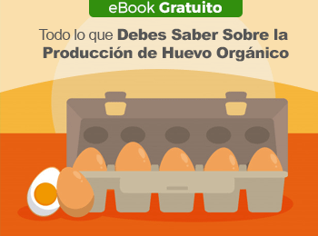 eBook Gratuito: Todo lo que Debes Saber Sobre la Producción de Huevo Orgánico