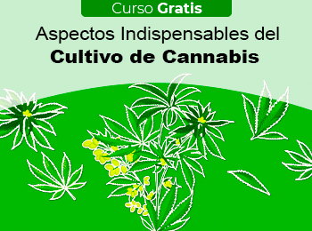 Curso Gratis: Aspectos Indispensables del Cultivo de Cannabis